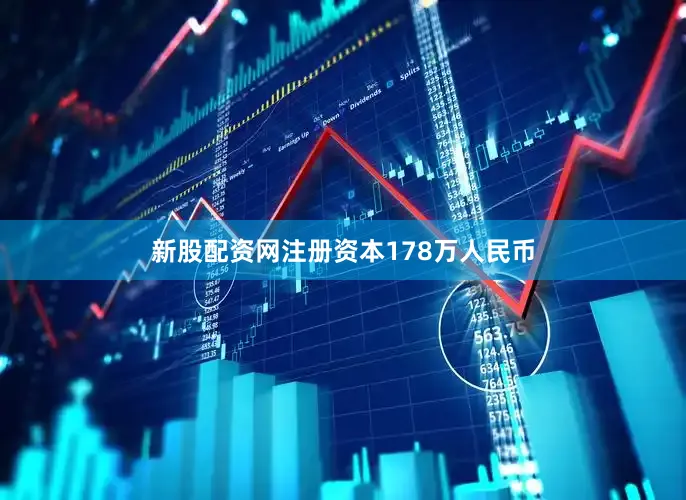 新股配资网注册资本178万人民币