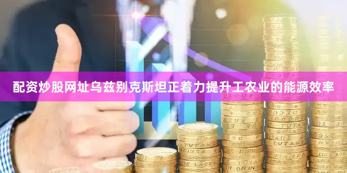 配资炒股网址乌兹别克斯坦正着力提升工农业的能源效率