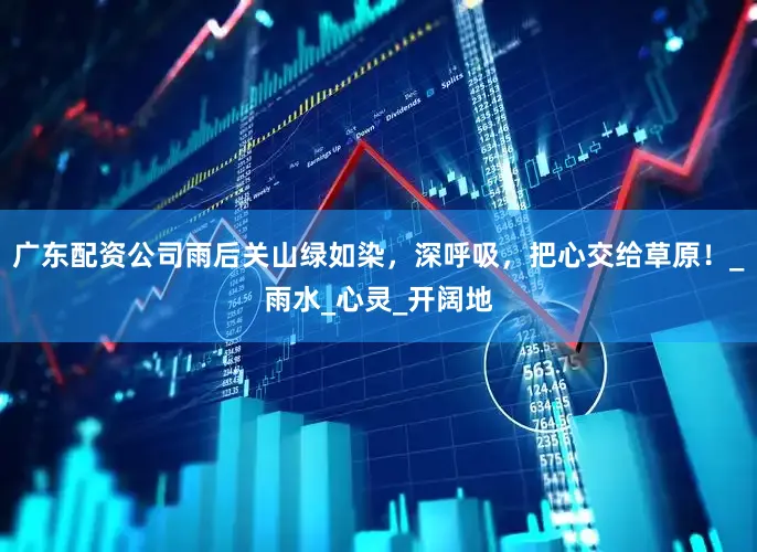 广东配资公司雨后关山绿如染，深呼吸，把心交给草原！_雨水_心灵_开阔地