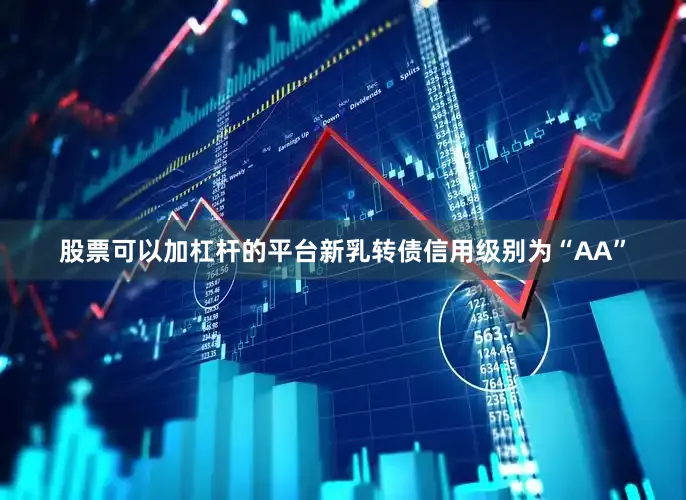 股票可以加杠杆的平台新乳转债信用级别为“AA”
